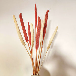 Champagne Pink & Ivory Millet Stems - Set of 5